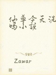 仙尊今天洗白了吗小说