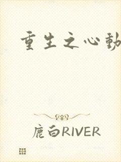 重生之心动起点
