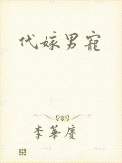 代嫁男宠