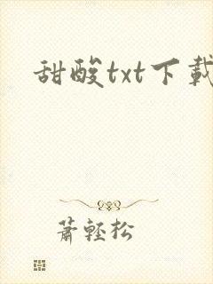 甜酸txt下载