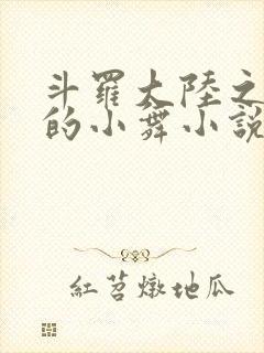 斗罗大陆之Y荡的小舞小说