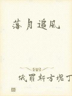 落月追风