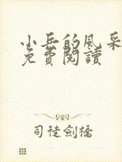 小兵的风采小说免费阅读