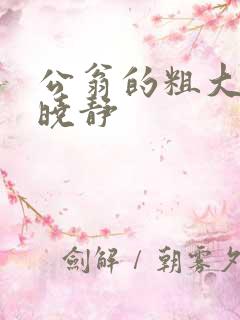 公翁的粗大放进晓静