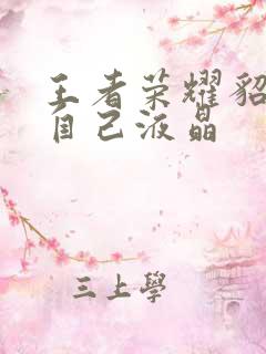 王者荣耀貂蝉喝自己液晶