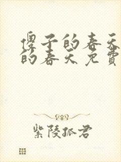 傻子的春天傻子的春天免费读