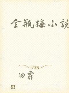 金瓶梅小说在线