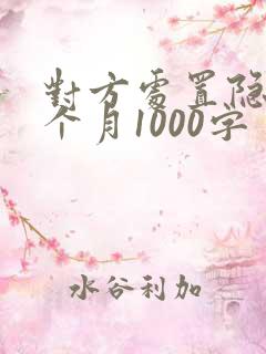 对方处置隐私一个月1000字