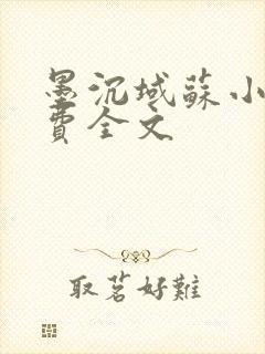 墨沉域苏小柠免费全文