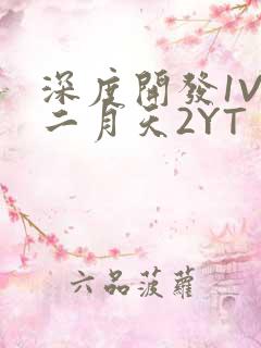 深度开发1V3二月天2YT