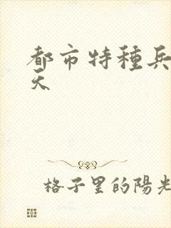 都市特种兵 任天