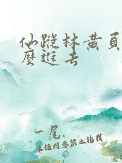 仙踪林黄页网怎么进去