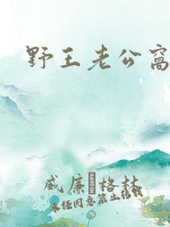 野王老公窝