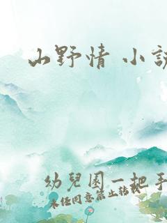 山野情 小说