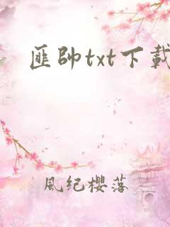 匪帅txt下载