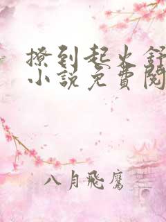 撩到起火舒漾的小说免费阅读全文