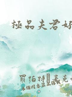 极品夫君好又多