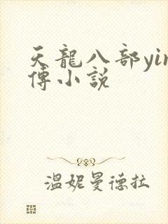 天龙八部yin传小说