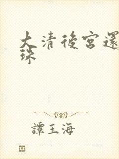 大清后宫还君明珠