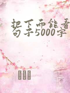 把下面能看湿的句子5000字