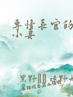 专情长官的天价小妻