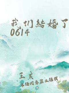 我们结婚了130614