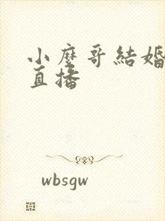 小么哥结婚视频直播