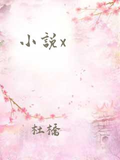 小说x
