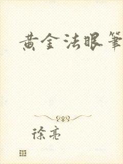黄金法眼笔趣阁
