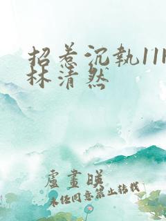 招惹沉执11H林清然