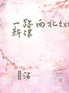 一路向北txt新浪