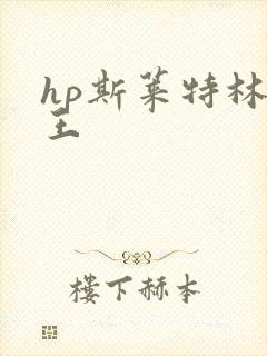 hp斯莱特林之王
