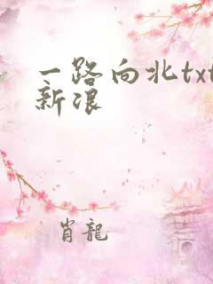一路向北txt新浪