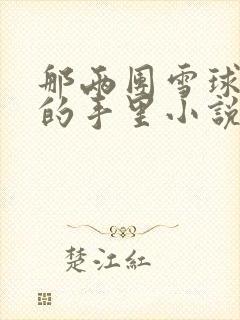 那两团雪球在他的手里小说