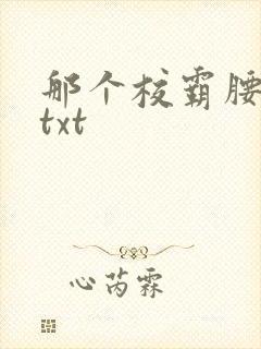 那个校霸腰好软txt