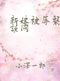 新娘被辱系列小说网