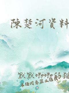 陈楚河资料