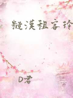 糙汉租客玲珑塔