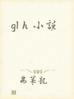 gl h 小说