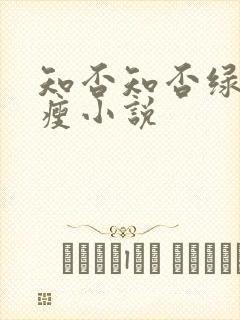 知否知否绿肥红瘦小说