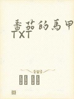 番茄的马甲小说TXT
