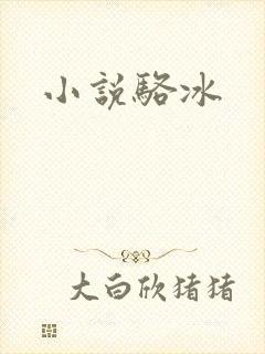 小说骆冰