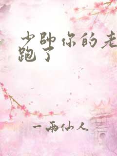 少帅你的老婆又跑了