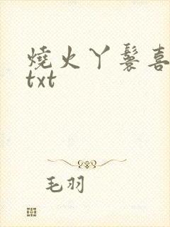 烧火丫鬟喜洋洋txt