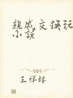 亲戚交换玩美妇小说