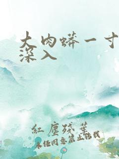 大肉蟒一寸寸地深入