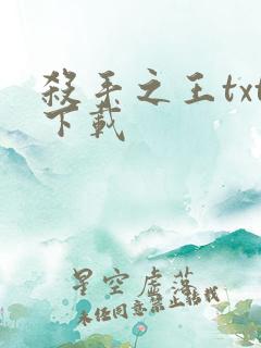 杀手之王txt下载