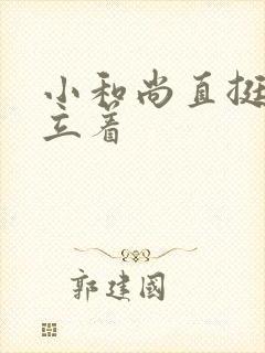 小和尚直挺挺的立着