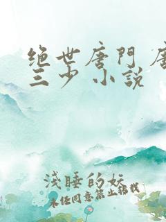 绝世唐门 唐家三少 小说