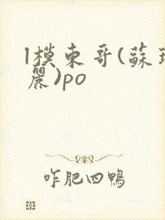 l模东哥(苏玛丽)po